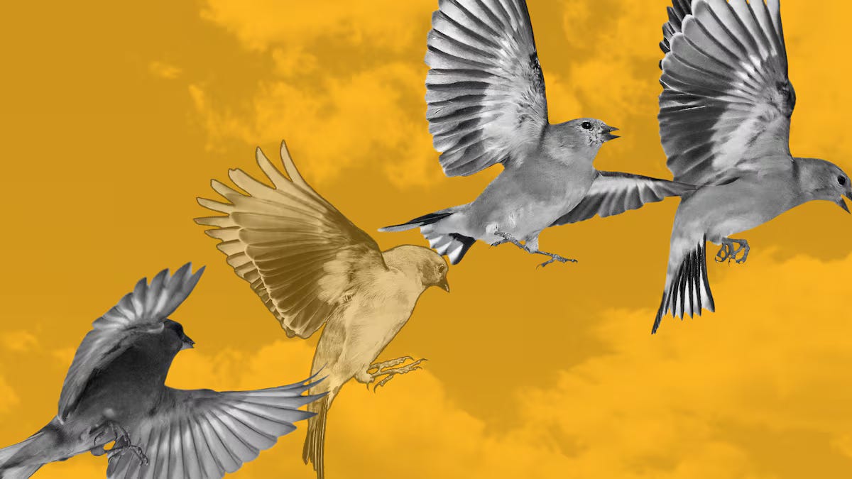 DeFi loan repayment Goldfinch