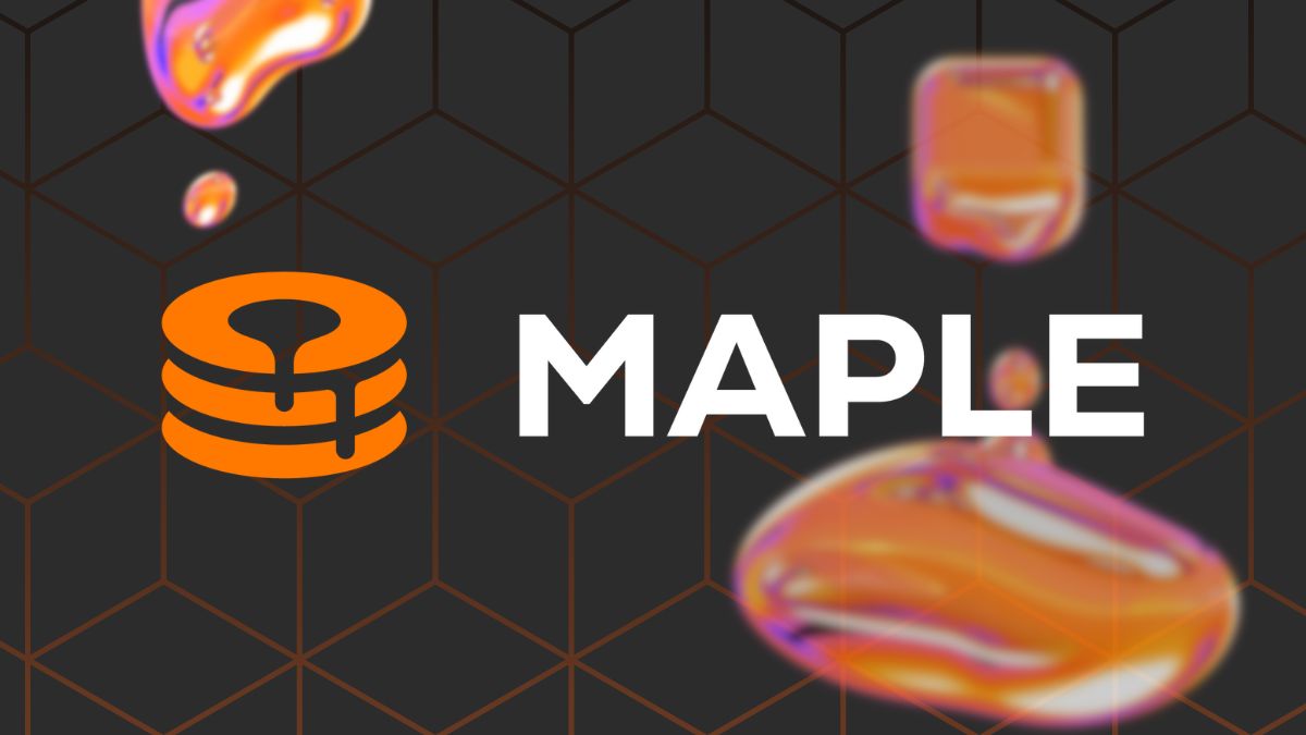 Maple Finance pool delegate credit underwriting