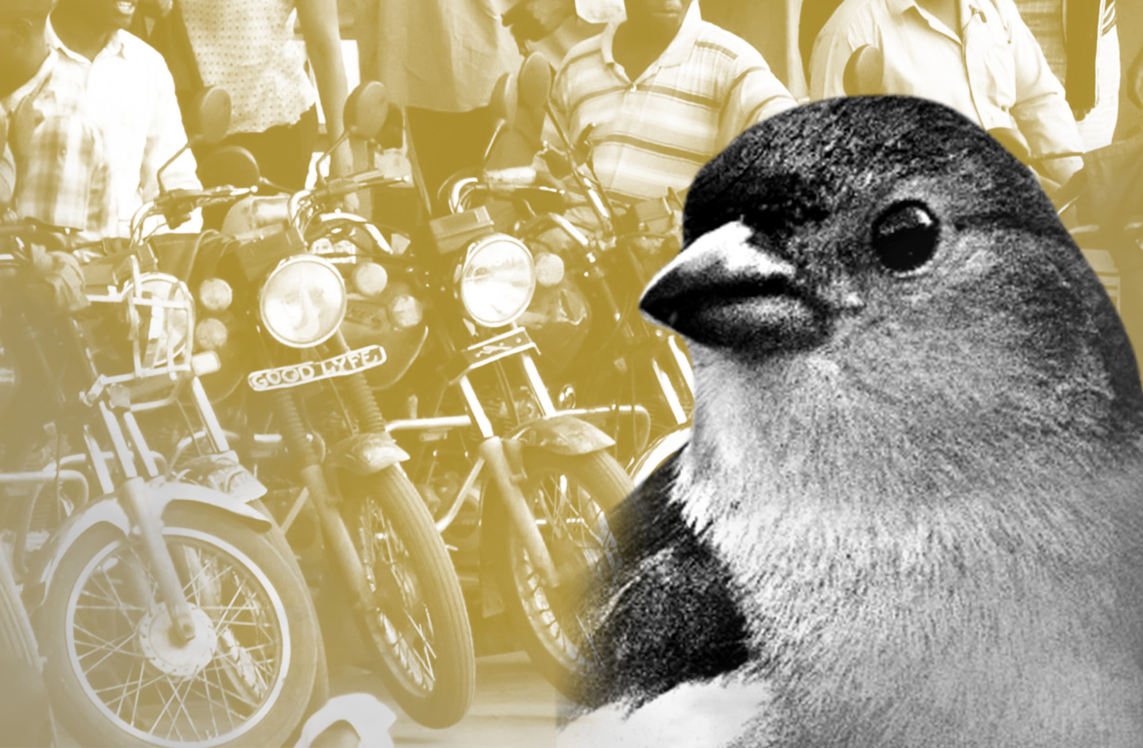 Goldfinch DeFi emerging markets loans