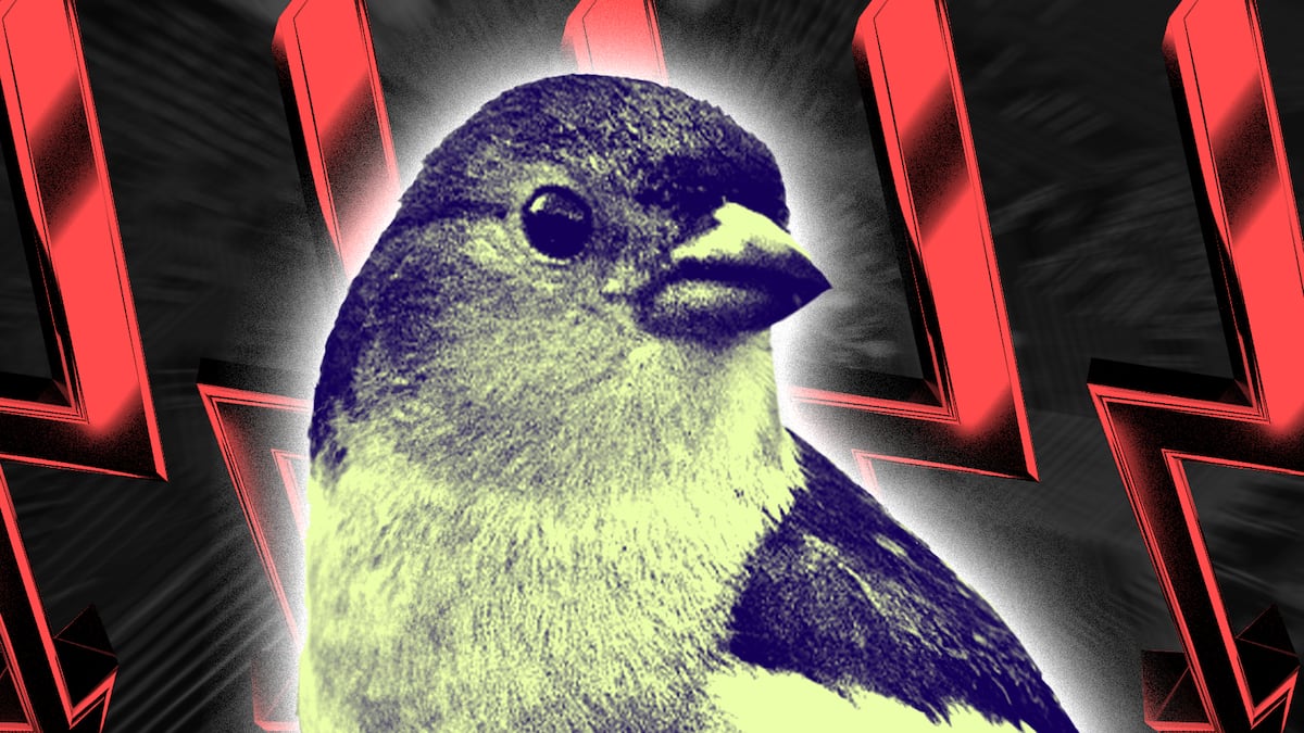 Goldfinch DeFi lending platform interface 2024