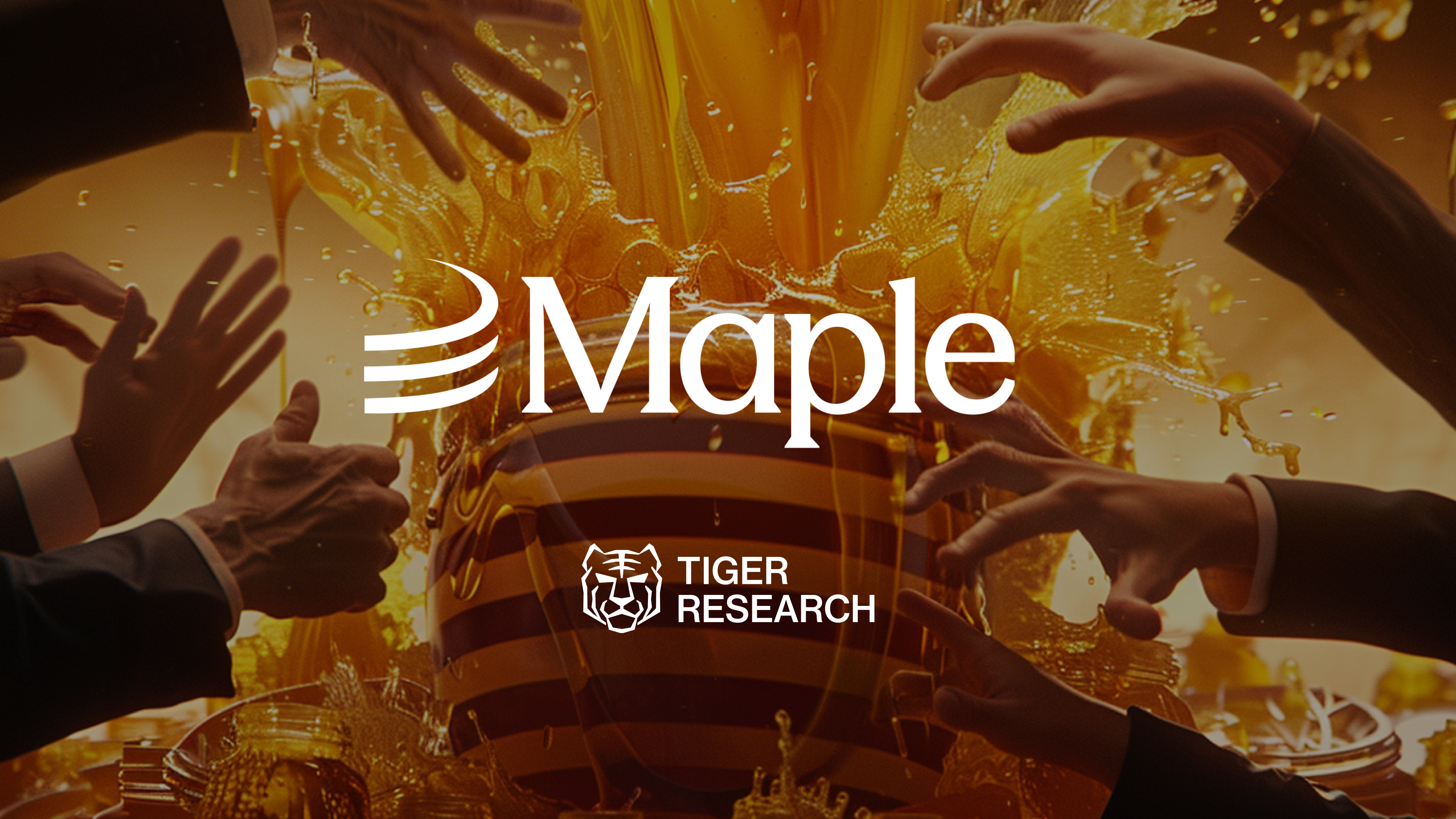 Maple Finance DAO credit risk analytics